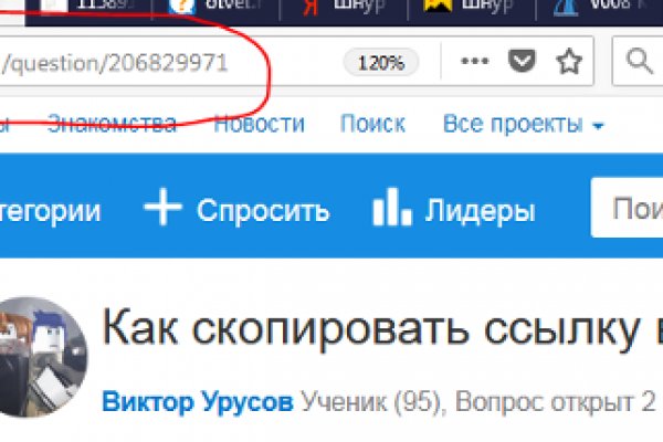 2krn at krakendark link