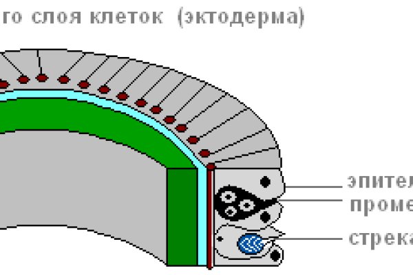 Взломали аккаунт кракен