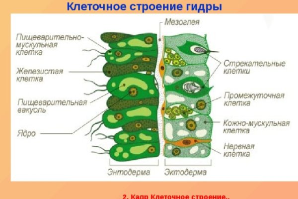 Kraken21 at сайт