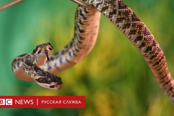 Кракен как войти